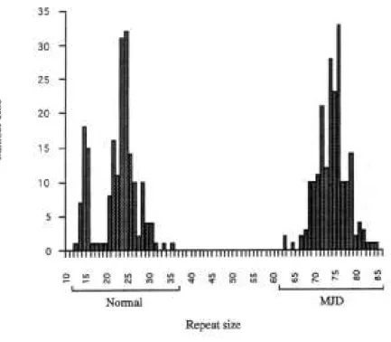 Figure  5.  Distribution  of  CAG  repeat  sizes  in  unaffected  control  individuals  and  in  MJD affected individuals (from Maciel et al., 1995)
