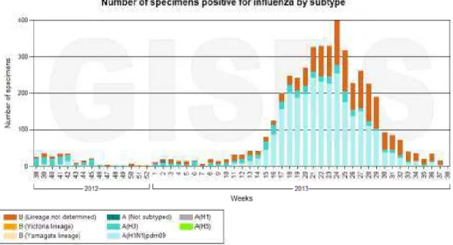 Figura  4.  Pesquisa  Laboratorial  de  Influenza  no  Brasil  nos  últimos  12  meses  realizada pela GISRS