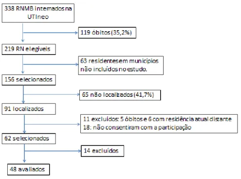 Figura 1. Informações sobre a forma de recrutamento dos RNMBP selecionados no presente estudo