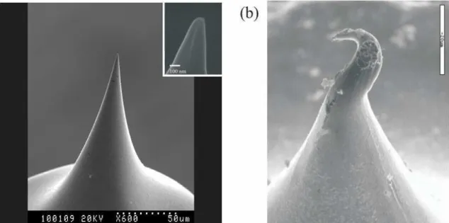 Figura 15: Imagens SEM (Scanning Electron Microscopy) de uma ponta de STM. (a)  Depois da preparação eletroquímica