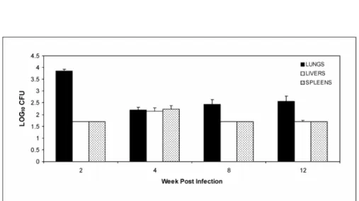 Figure 1. Time course of  P. brasiliensis  infection. Mice were infected i.n. with 1 × 106 P