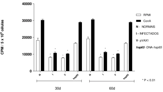 Figura 8 – Resposta proliferativa de cultura de esplenócitos obtidos de camundongos imunizados com a vacina DNA-hsp65 e  infectados com 10 6  células de P