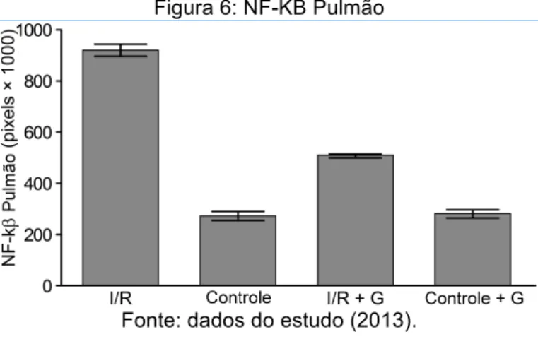 Figura 6: NF-KB Pulmão 