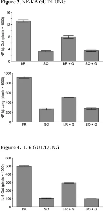 Figure 4. IL-6 GUT/LUNG 