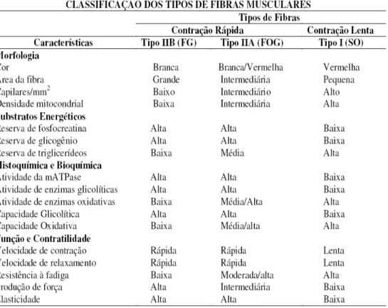 Figura 1 – Características estruturais, bioquímicas e morfofuncionais das fibras musculares  esqueléticas Tipo I, IIA e IIB  