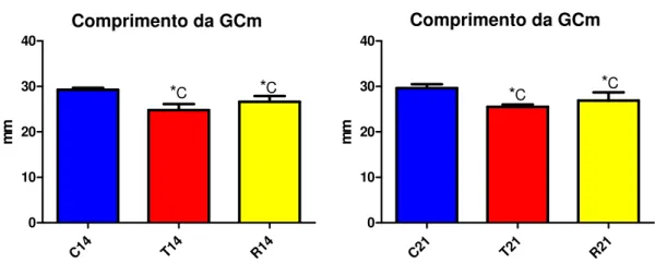 Figura 21 - Média e desvio padrão do Comprimento da GCm dos grupos C, T e R avaliados com 14 e  21 dias 