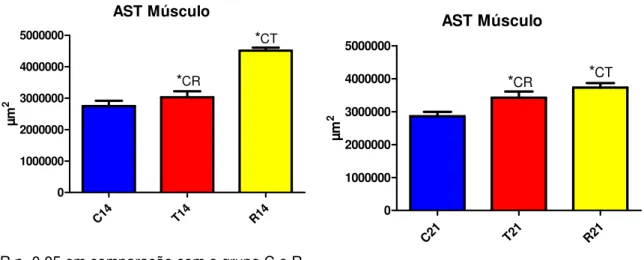 Figura 22 - Média e desvio padrão da AST da GCm dos grupos C, T e R avaliados com 14 e 21 dias 