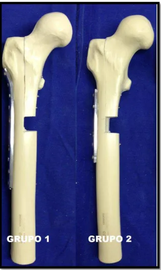 Figura 7  – modelos ósseos do fêmur proximal após a realização da  osteotomia em ”L” divididos em dois grupos de acordo com a fixação