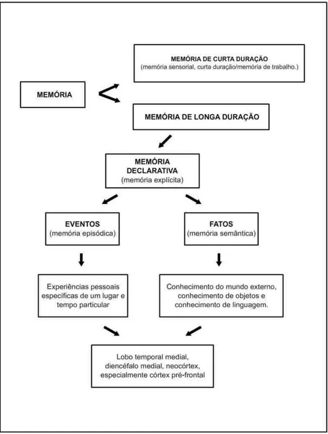 Figura 2. Estrutura Hipotética da Memória Declarativa. 