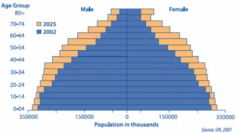 Figura 1. Pirâmide da População global em 2002 e 2025 
