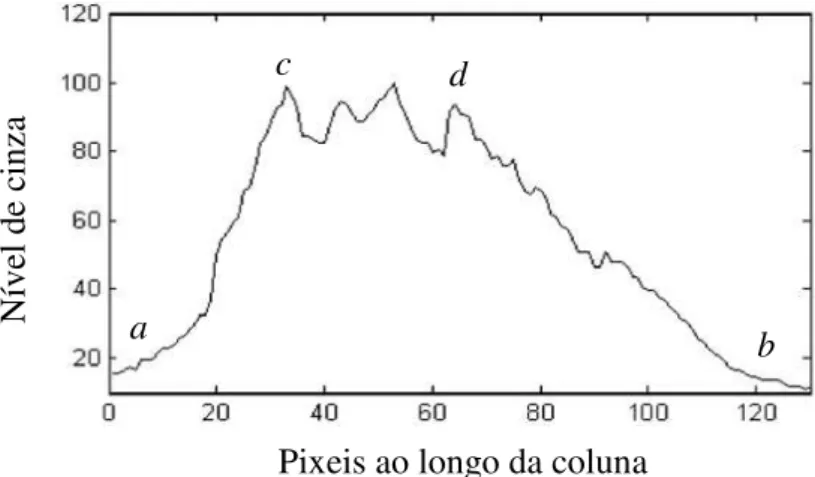 Figura 3.21. Distribuição dos níveis de cinza na coluna da Figura 3.16(b) que tem como  referencia os pontos “a”, “b”, “c”, e “d” (Traduzido de Zhang et al., 2006) 