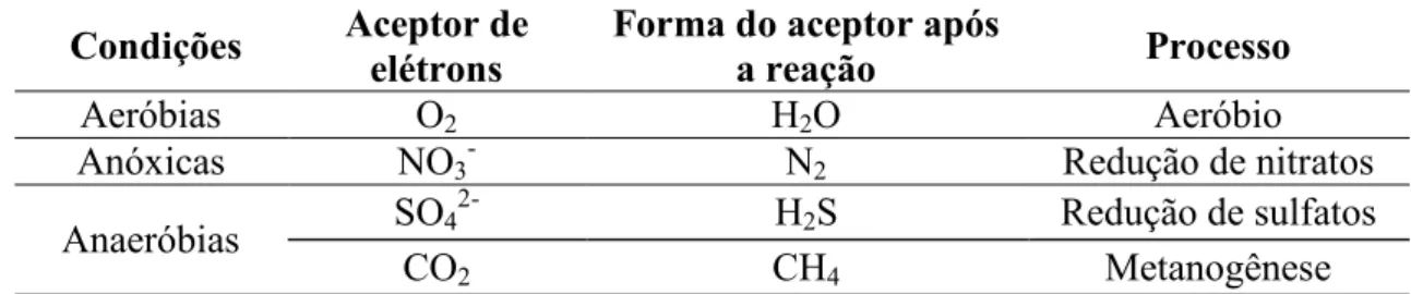 Tabela 3.5: Aceptores de elétrons típicos nas reações de tratamento biológico (von  Sperling, 1996)