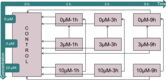 Table 4.1  –  Comparisons used in differential gene expression analysis. All comparisons used  in  the  analysis  are  listed  associating  two  samples,  each  one  consisting  of  a  combination  of  a  concentration  and  a  time  of  exposure
