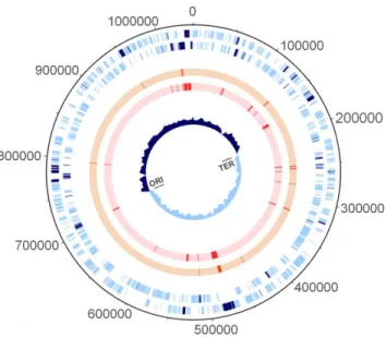 Figure  2.1.  Chromosomal  mapping  of  loci  involved  in  the  directional  evolution  of  Chlamydia trachomatis