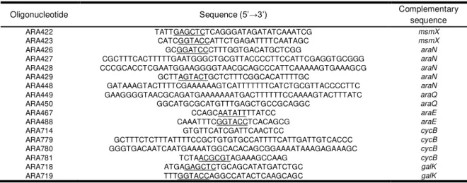 Table 2.1  –  List of all oligonucleotides used during the course of this work.  