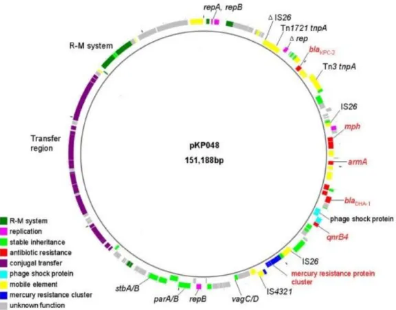 Figure 1.3. Circular map of plasmid pKP048 encoding several antibiotic resistance genes (red) and  mobile genetic elements (yellow) (Jiang et al., 2010)