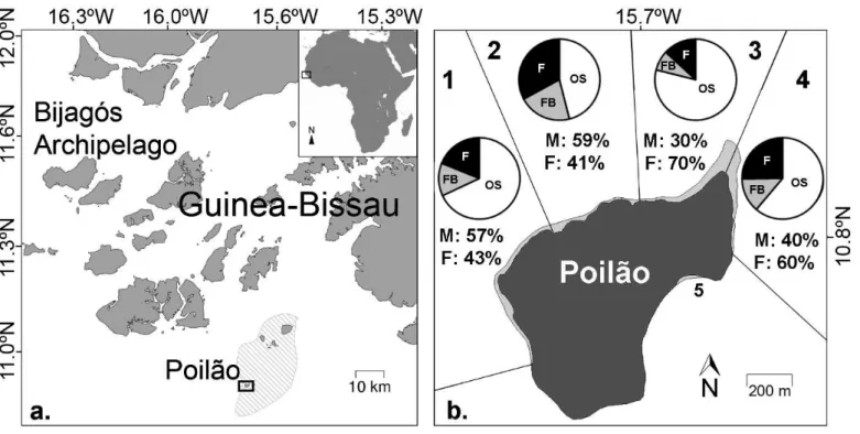Figure 1a. Map of the Bijagós Archipelago, Guinea-Bissau: the João Vieira and Poilão Marine National Park is represented by the striped  area, and the black frame depicts Poilão Island; b