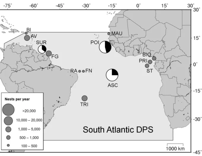 Figure 6. Limits of green turtle South Atlantic distinct population segment  (DPS), showing rookeries with 100 or more nests per year