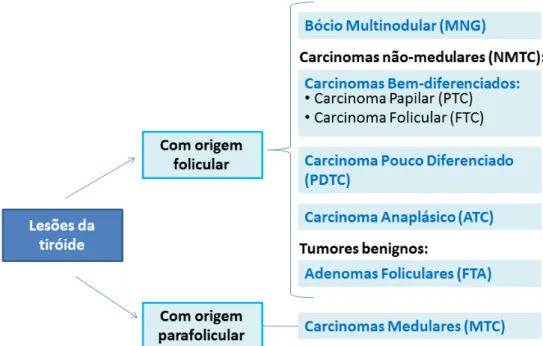 Figura I.5 - Esquema representativo dos diferentes tipos de lesões tiroideias (adaptado de Muro - Cacho e  K