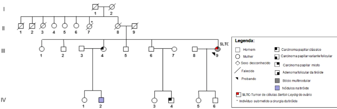 Figura III.1 - Árvore genealógica da família 2 com FNMTC, que foi alvo de estudo do gene DICER1.