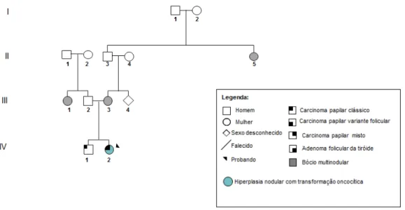 Figura III.2 - Árvore genealógica da família 3 com FNMTC, que foi alvo de estudo do gene DICER1