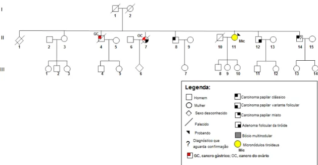 Figura III.5 - Árvore genealógica da família 6 com FNMTC, que foi alvo de estudo do gene DICER1