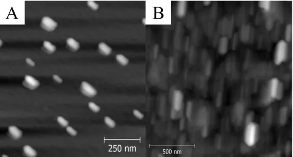 Figure  2.9  –  Examples  of  drift.  Both  the  spherical  nanoparticles  (A)  and  the  spherical  liposomes  (B)  appear as elongated features