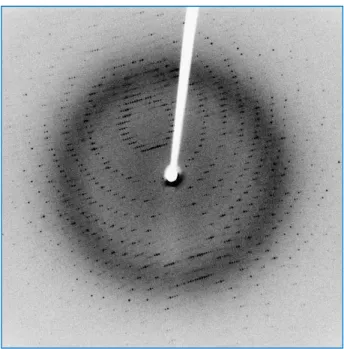 Figure 1.17 | An X-ray diffraction pattern of a crystallized enzyme. The pattern of spots (reflections),  formed from the constructive interference of X-rays passing through a crystals, and the relative strength of  each spot (intensities) can be used to d