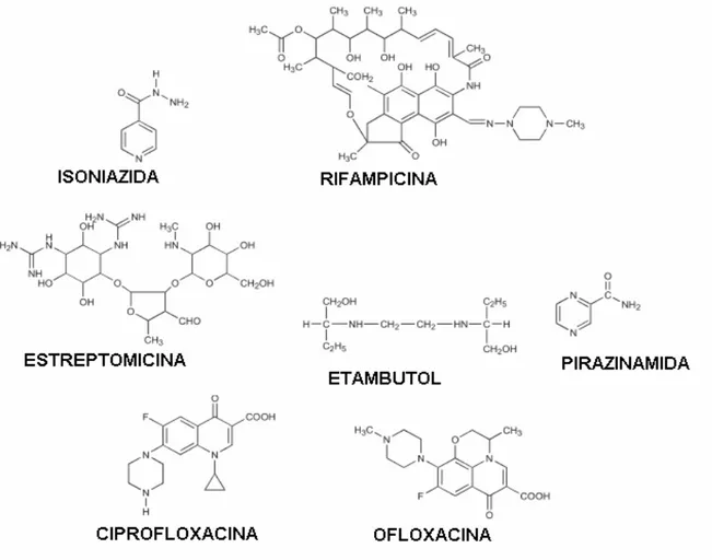Figura 2. Estrutura molecular de fármacos de segunda linha utilizados  no tratamento da TB