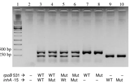 Figure 3.9 Electrophoretic analysis in 1% agarose of the four combinations of rpoB and inhA multiplex  PCR products (lane 3-6) and simplex products (lane 7-8 for rpoB and lane 9-10 for inhA); lane 1 is the  negative control 