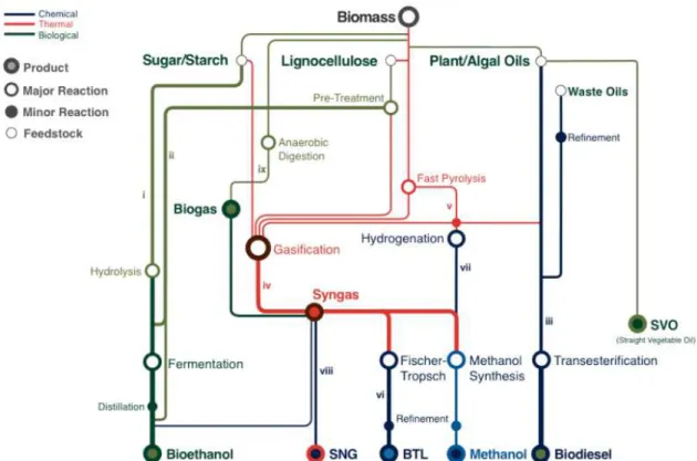 Figure 1.2 - A schematic representation of the complexity and diversity of biorefinery processes