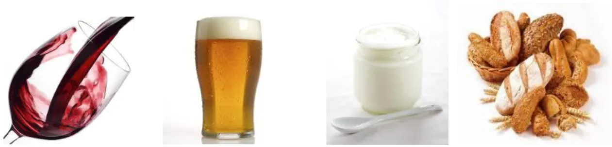 Figure 2.8 - Examples of some products (wine, beer, yogurt and bread) that results from fermentation  capacity of the yeasts