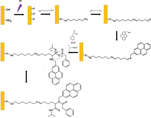 Figure 2.5. – Plasma amination 79  followed by Ugi reaction onto monolith. “X” denotes oxygen,  nitrogen or carbon atoms