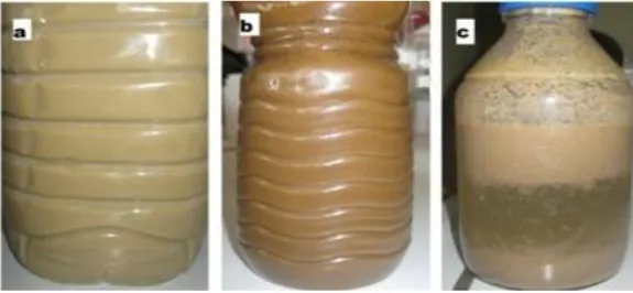 Figure 4.1 – Fat wastes from the manufacture process of margarine: a) margarine waste; b) refinery waste; 