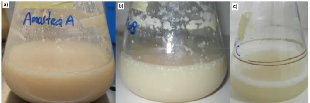 Figure 4.2 – Mineral medium supplemented with fat wastes: a) margarine; b) refinery; c) sludge after being  kept in a rotary shaker at 200 rpm and 30ºC for 72 h