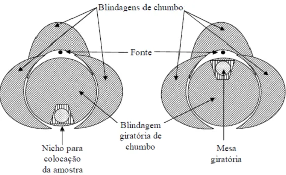 FIGURA 6 - Esquema do arranjo de fontes dentro do irradiador  Fonte: Adaptada de Rodrigues, Jr, 2014 