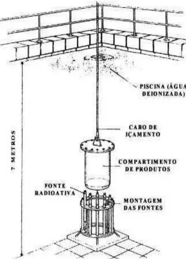 FIGURA 9 - Irradiador gama categoria III autoblindado com água pela AIEA  Fonte: Adaptada da Rodrigues, Jr, 2014 