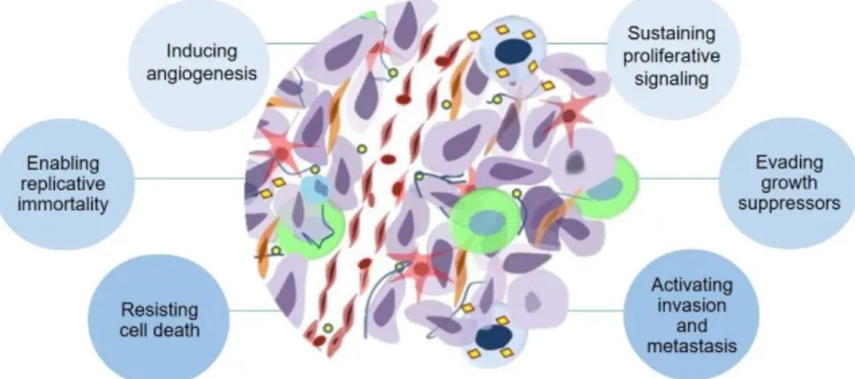 Figure  1.1  -  Cancer  hallmarks  proposed  by  Hanahan  and  Weinberg.  According  to  these  authors,  cancer  development comprises features such as, sustaining proliferative signalling, evading growth suppressors, activating  invasion and metastasis, 