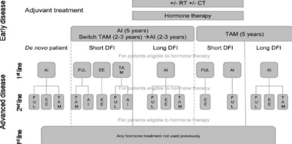 Figure  1.3.  Treatment  algorithm  for  post-menopausal  patients  with  hormone  receptor  positive  (ER+)  and  HER2  negative  (HER2-)  breast  cancer
