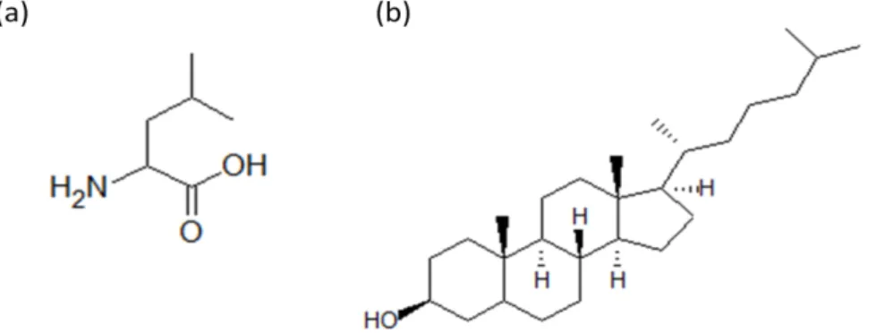 Figure 1.6 -  L-leucine (a) and cholesterol (b) structures. 