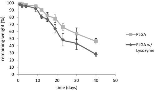 Figure 3.7  –  Graphic representation of the PLGA degradation in a solution with and without lysozyme