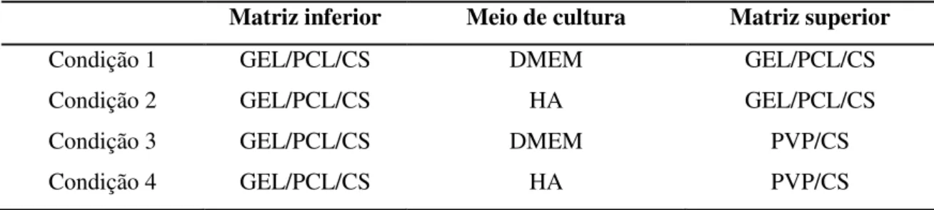 Tabela 2.2 - Condições para o lançamento das culturas celulares em bicamada, onde se destacam as ma- ma-trizes  inferior  (GEL/PCL/CS)  e  superior  (GEL/PCL/CS  ou  PVP/CS)  nos  diferentes  meios  de  cultura  (DMEM ou HA)