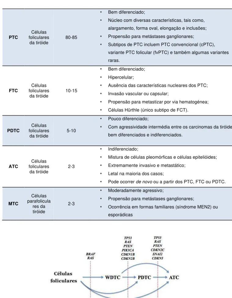 Figura I-7 – Alterações moleculares envolvidas no desenvolvimento dos ATC e PDTC (adaptado de Pita  et al