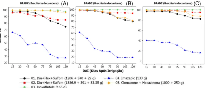 Figura 2.5 - Porcentagem de controle para Brachiaria decumbens Stapf. aos 15, 30, 45,  60, 90, 105 e 120 DARU, com os herbicidas aplicados em pré-emergência  sobre o solo, para as épocas de 40 (A), 80 (B) e 120 (C) dias de restrição  hídrica