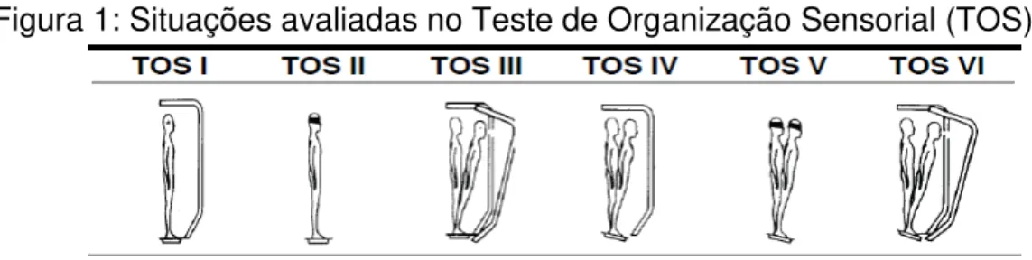 Figura 1: Situações avaliadas no Teste de Organização Sensorial (TOS)  