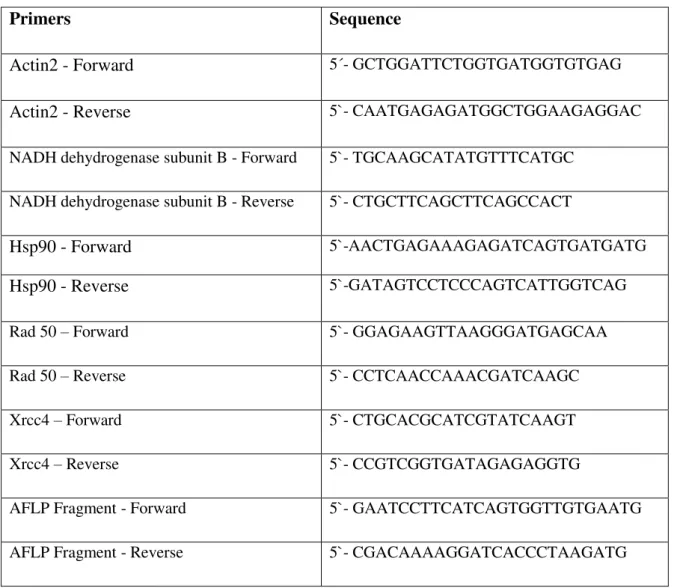 Table 2.8 – Primers utilized in the qRT-PCR to quantify Vitis vinifera expression. 