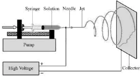 Figure 2.3. Representation of the electrospinning setup (adapted). 
