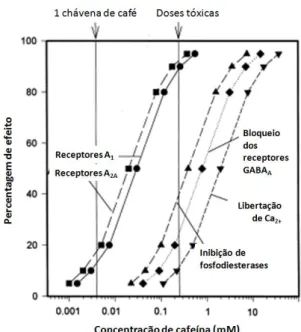 Figura 1.3.Efeitos da cafeína nos seus diferentes alvos bioquímicos em relação aos seus níveis em humanos