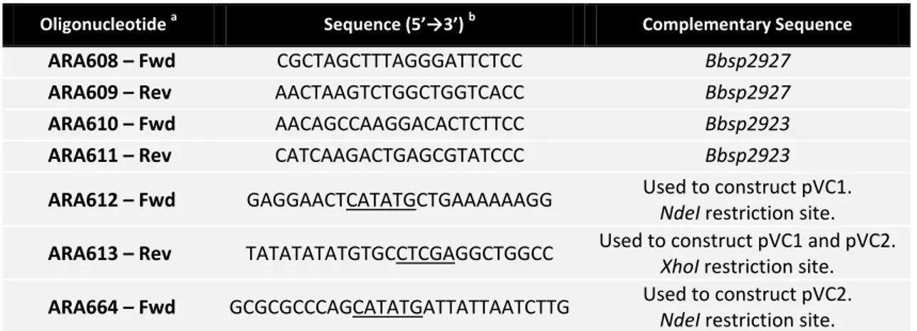 Table 2.2  –  List of oligonucleotides used in this project. 