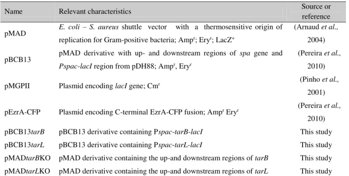 Table 2.3. Primers used in this study 